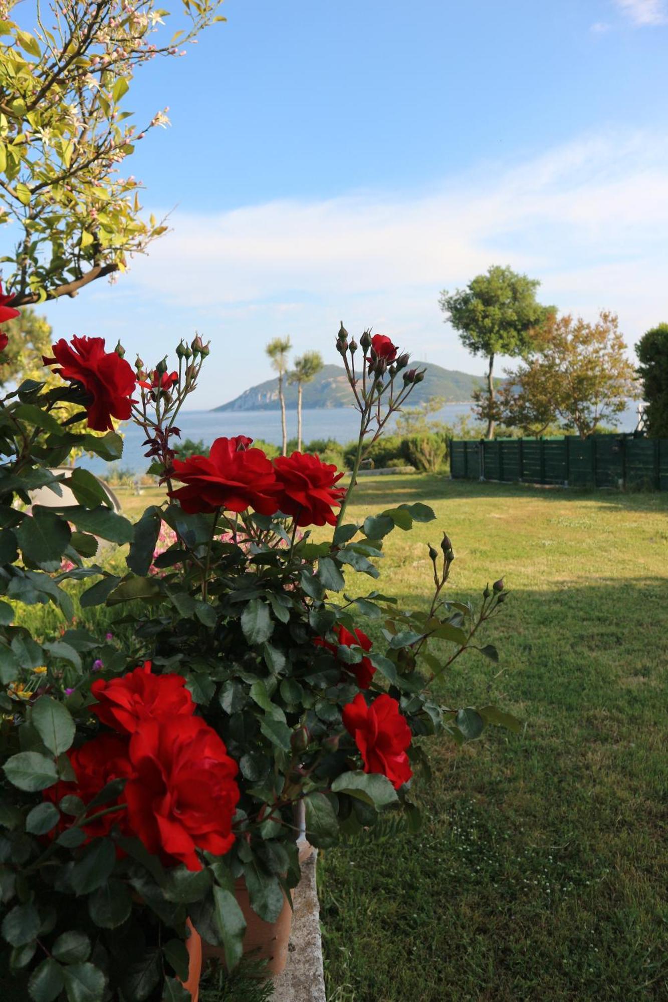 Iraklitsa View Apartment Nea Iraklitsa Екстериор снимка